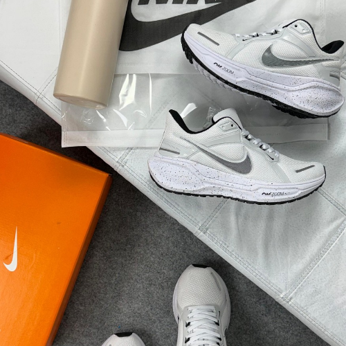 Tênis Nike Pegasus 41 – Branco