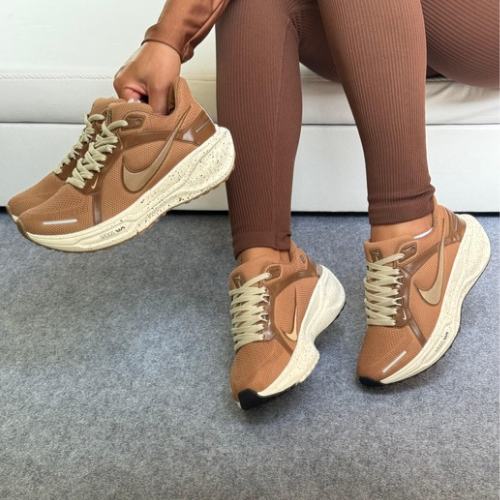 Nike Pegasus 41 Marrom/Bege