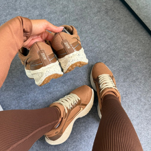 Nike Pegasus 41 Marrom/Bege